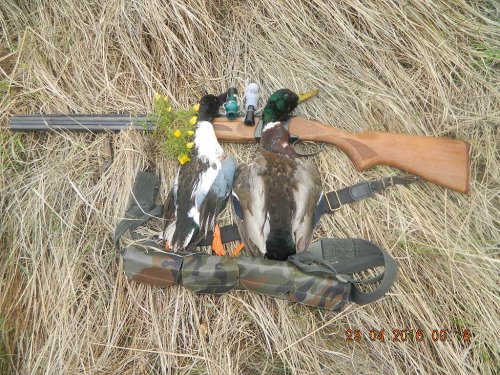Ну вот и дождались...