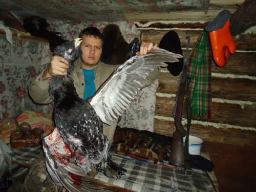 Томская область 2014
