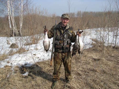 Шилки