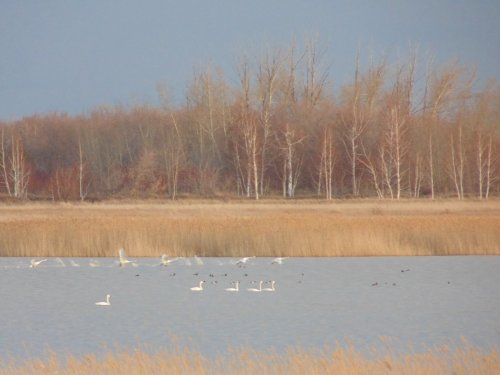 старт