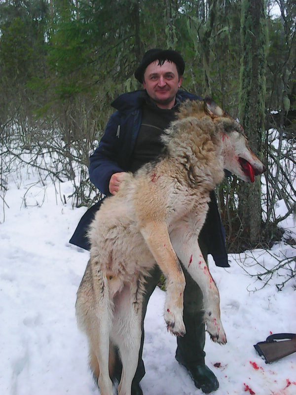 6 дней догонялок