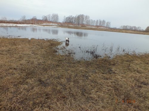 Вода уходит на глазах.