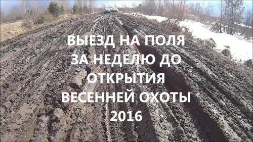 Вести с полей