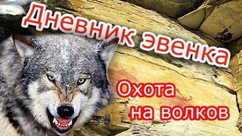 Охота на волков 1.