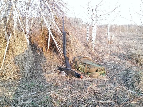 Вот так