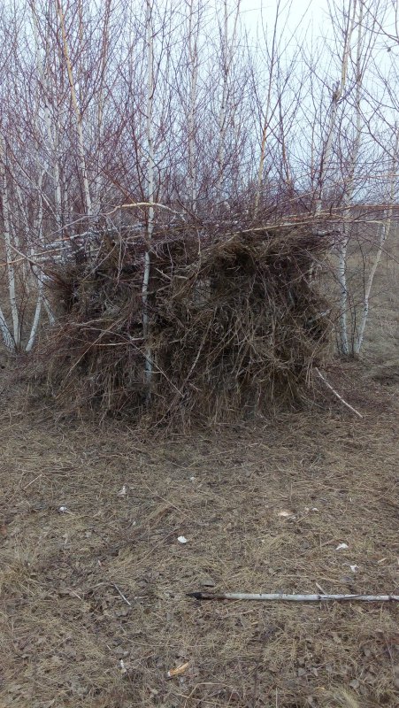 Скрадок