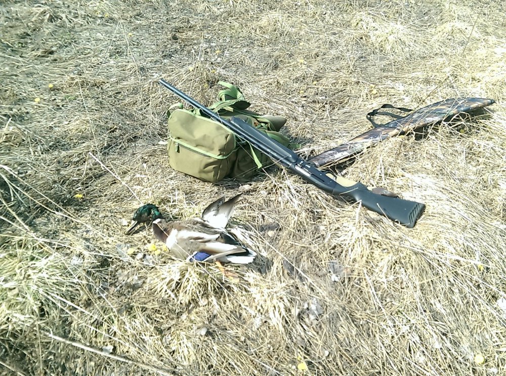 Вот такой трофей