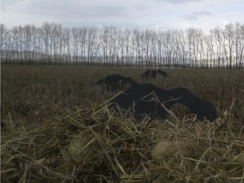 Вид с засидки
