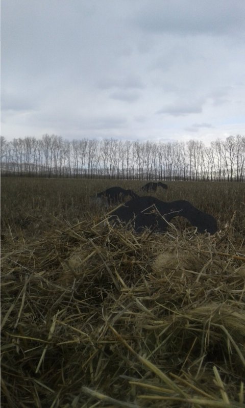 Вид с засидки