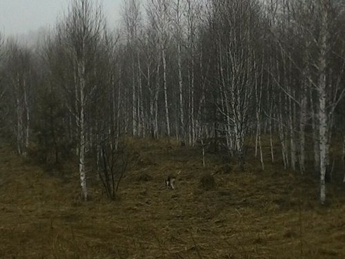В полазе.
