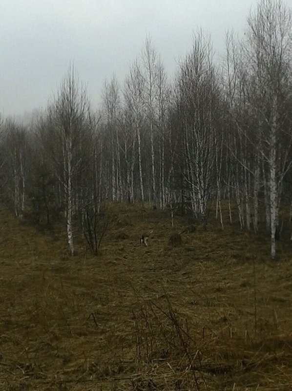 В полазе.
