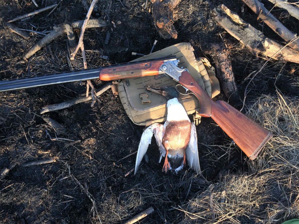 Натюрморт на пленэре)))