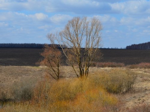 Мгновения апреля. 3