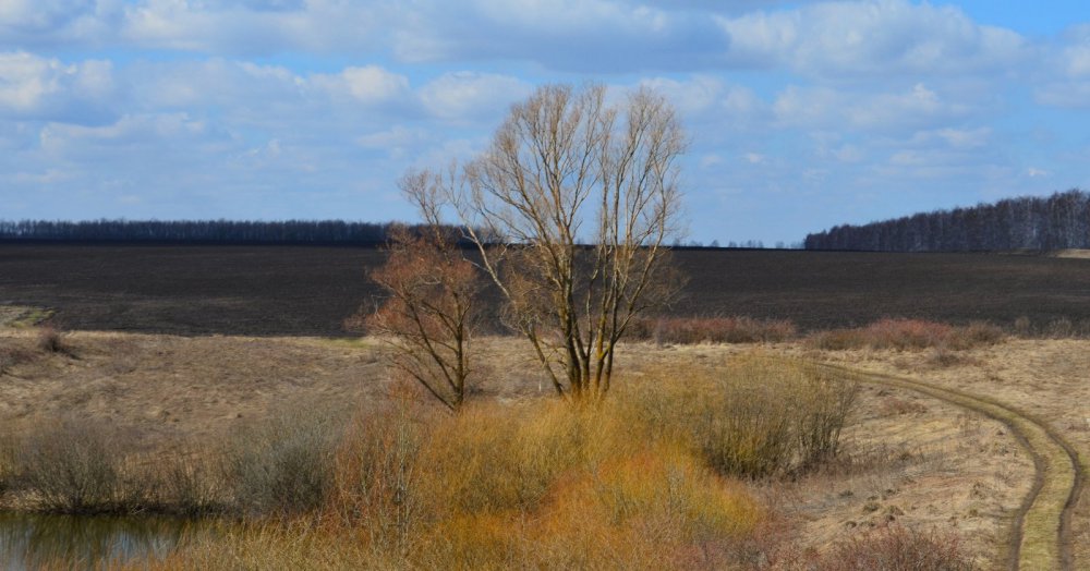 Мгновения апреля. 3