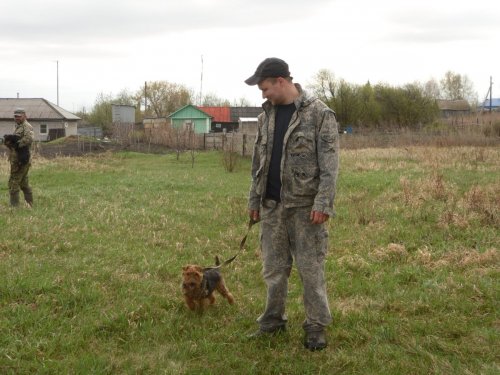 Ждем пуска в нору.