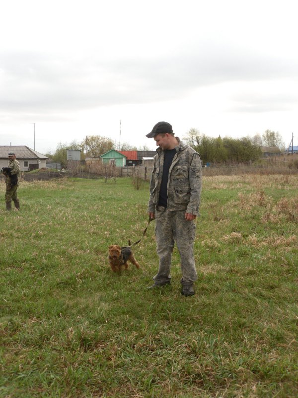 Ждем пуска в нору.