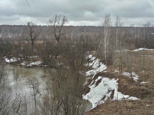 р. Коен