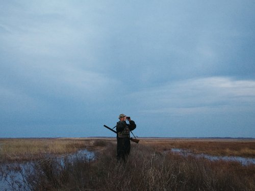 В поисках дичи