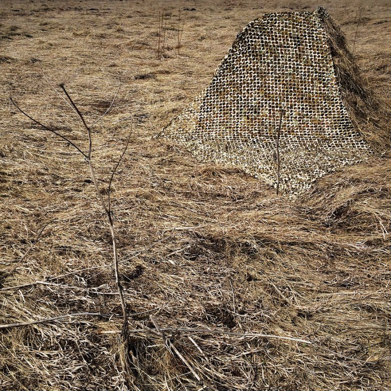 Засидка на тетерева