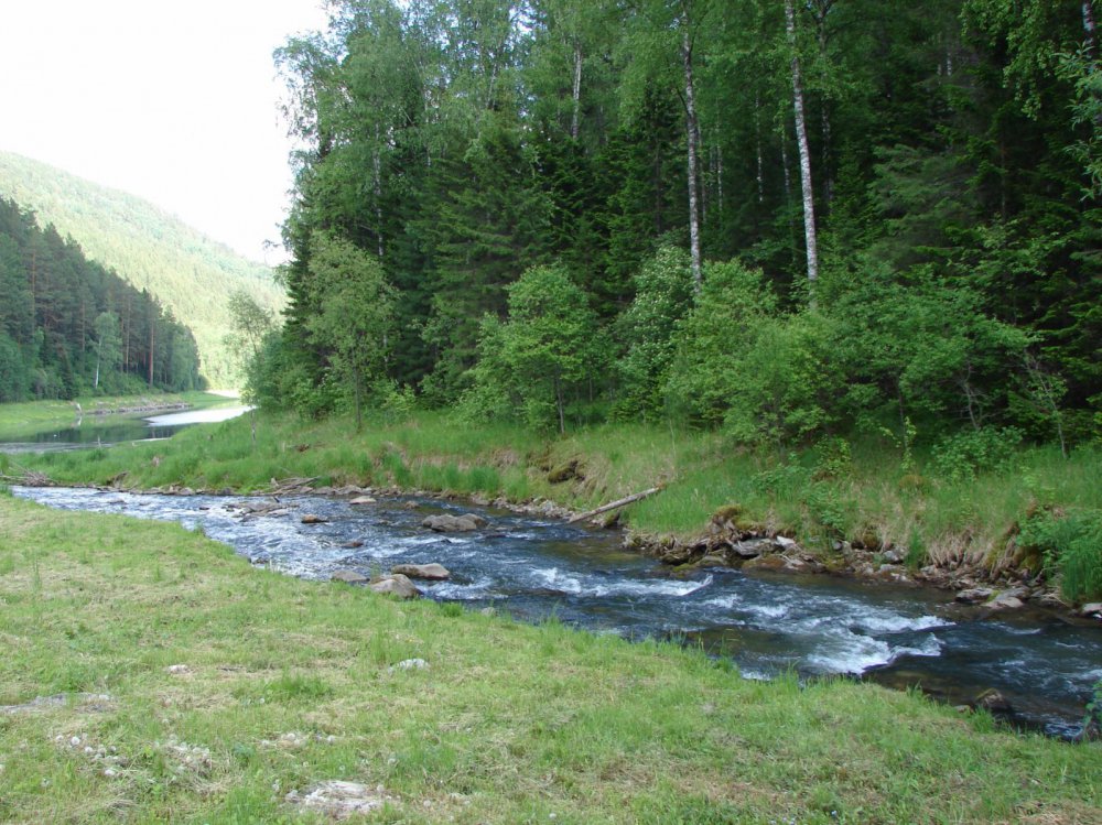 речка Кулюк Балахтинский район Красноярского края