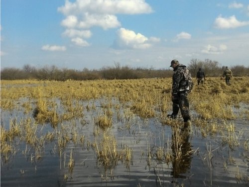 Будущее место охоты....