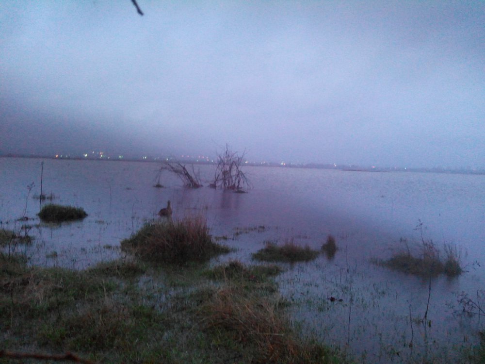 вода прет.