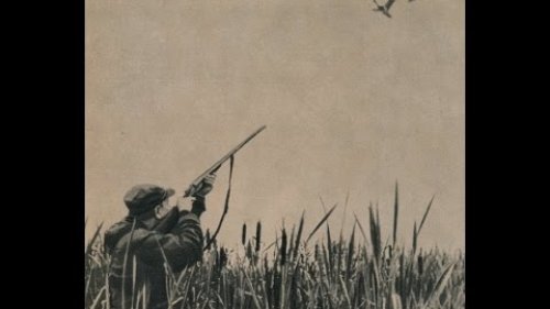 Сколько стоит опыт и умение стрельбы (попадания)?