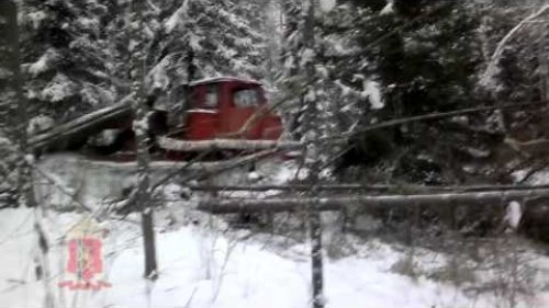 Мотыгино. Незаконная охота на медведя.