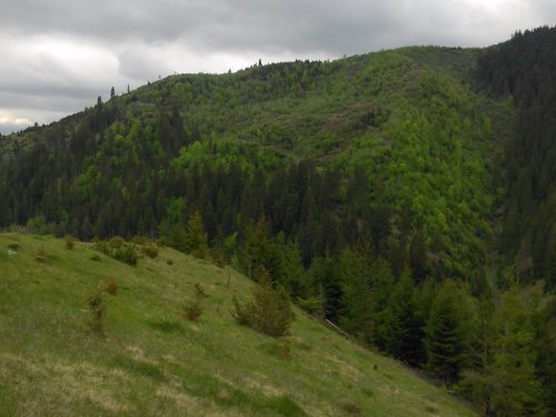 горы