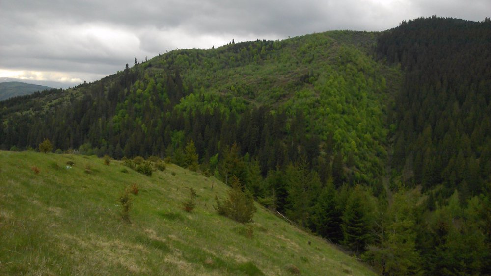 горы