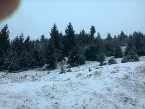 Карпат