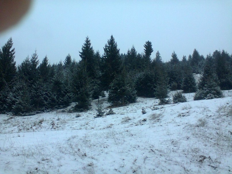 Карпат