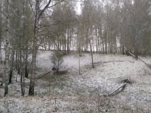 Контрасты сибирской весны (08.05.2016г.).
