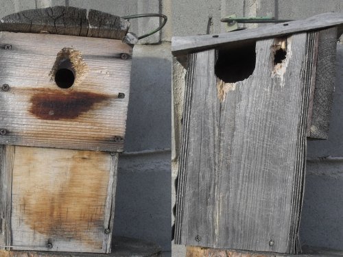 Грязная работа пёстрого коллектора.