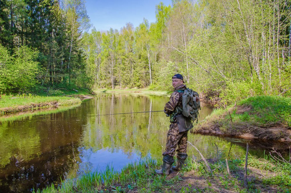 Воскресная прогулка.