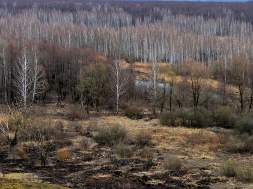 Рубеж. 2