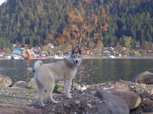 Красава.