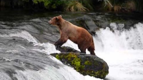 Katmai 2014