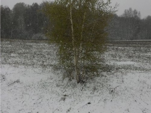 Зима вернулась.