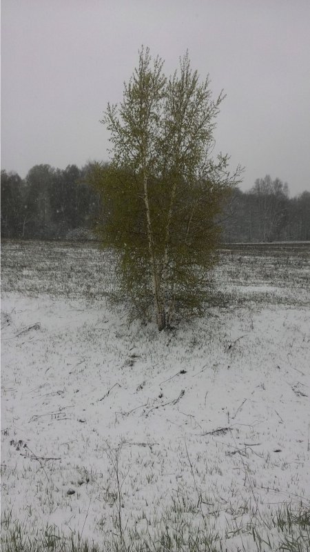 Зима вернулась.