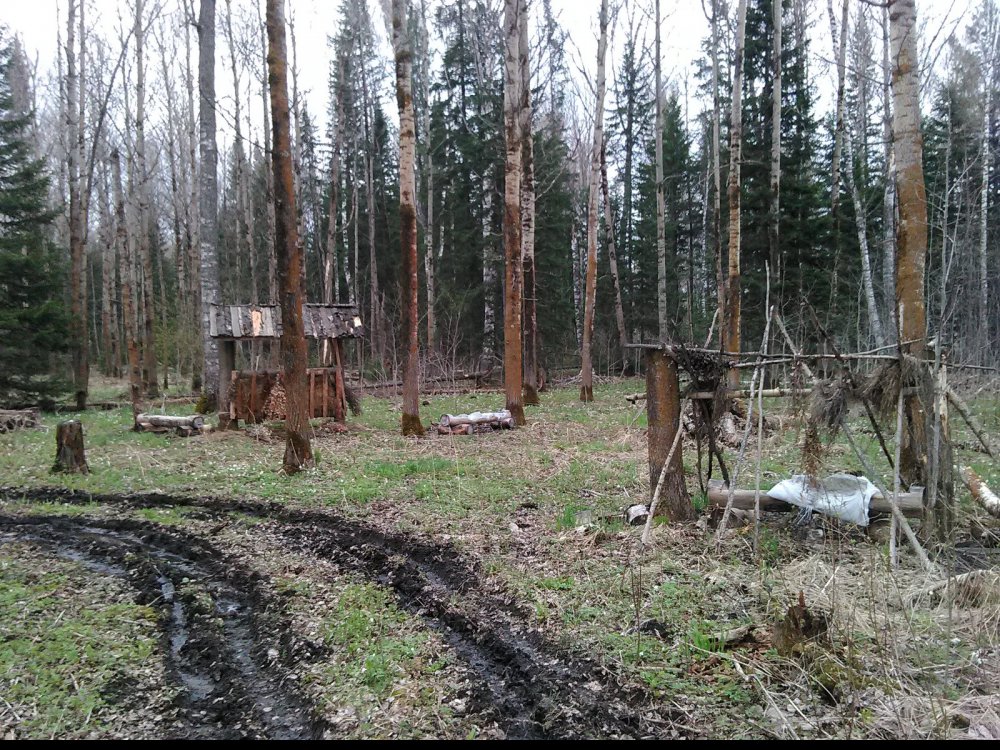 Приятно за "правильных" егерей