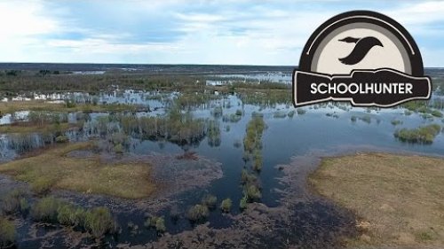 Охота на утку. Лучшие налеты. Весна 2016 #МанкиМельника