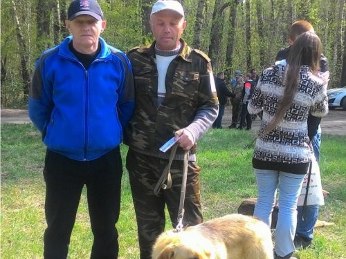 Гончатники.
