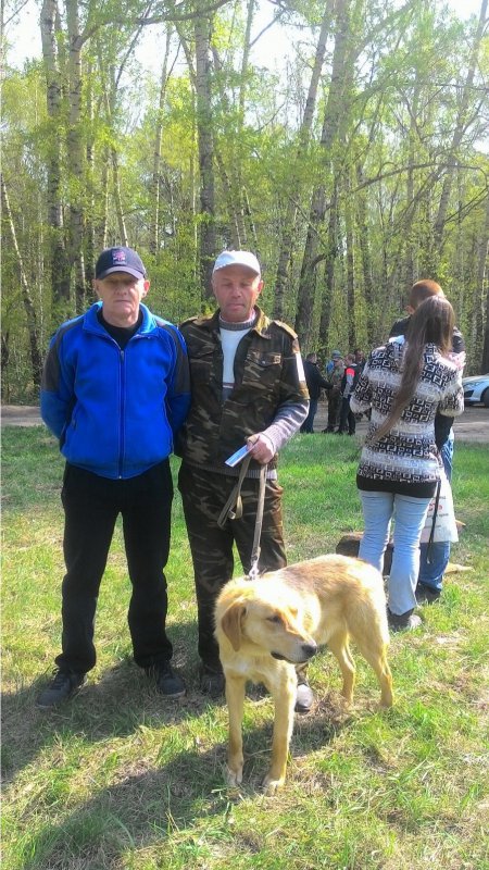 Гончатники.