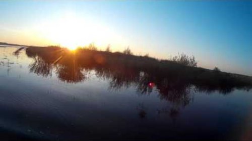 Охота на селезня, весна 2016.  Hunting for a duck , spring 2016