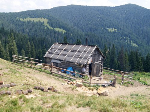 и такие есть зимовья