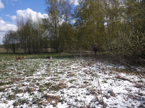 Прогулка.