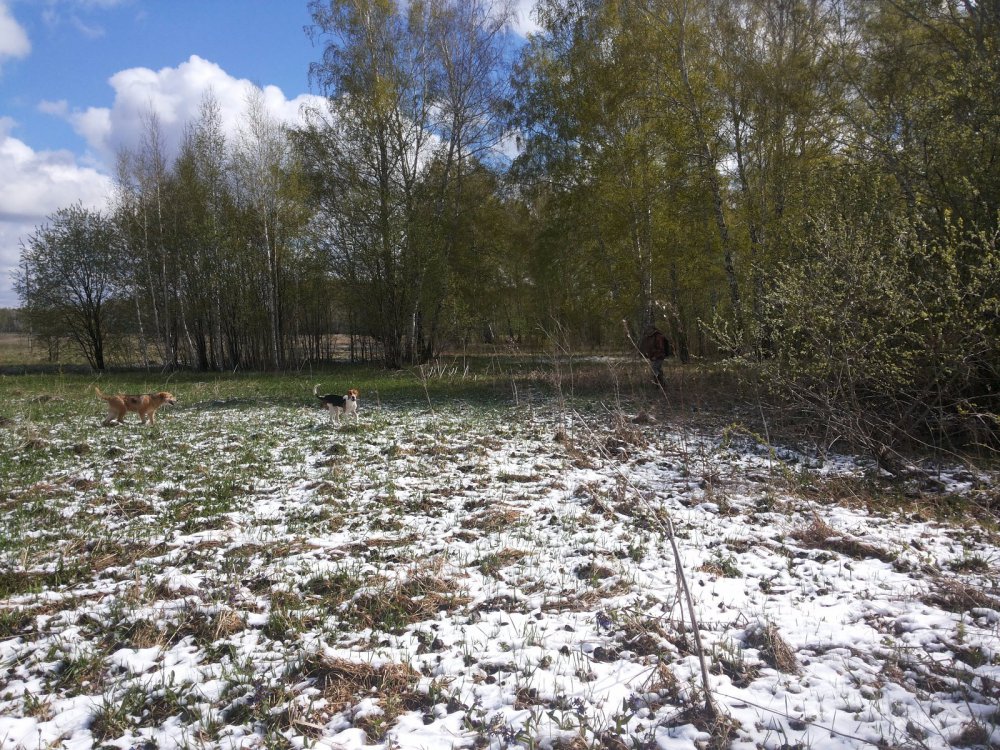 Прогулка.