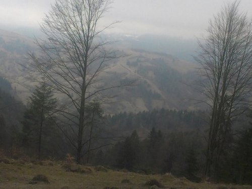 Весна в Горах