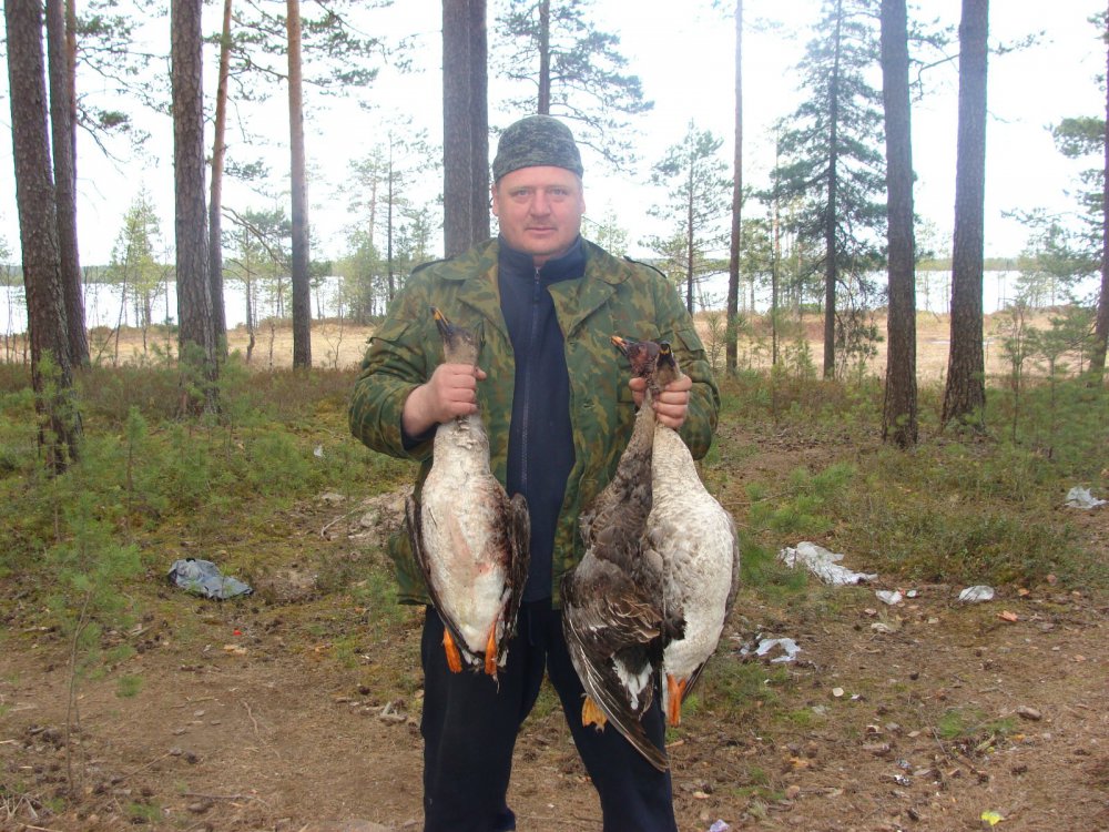 добыча за утро